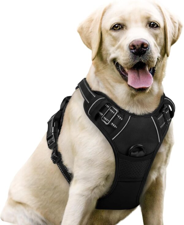 rabbitgoo Dog Harness No Pull with 2 Leash Clips