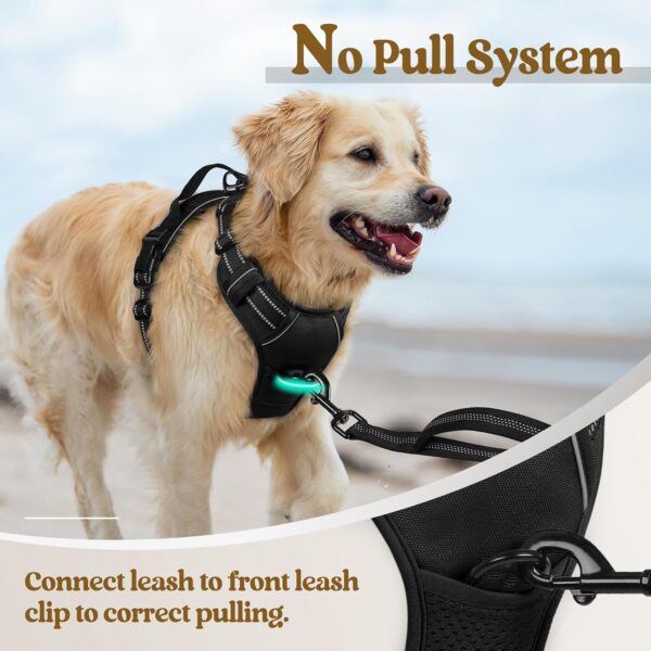 rabbitgoo Dog Harness No Pull with 2 Leash Clips - Image 4