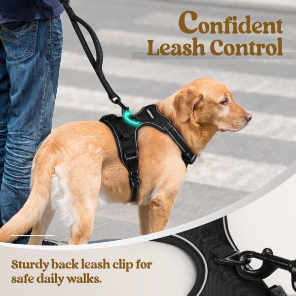 rabbitgoo Dog Harness No Pull with 2 Leash Clips - Image 5